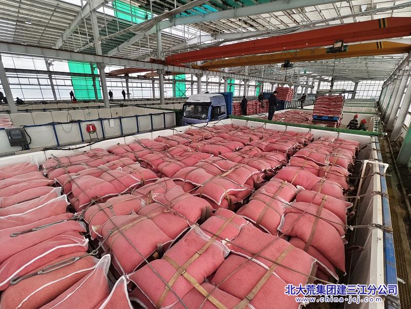 3月27日，在勝利農(nóng)場(chǎng)有限公司雙氧智能浸種催芽基地，首批1100余噸水稻種子裝入催芽箱。（馬興珠 攝） (2).jpg